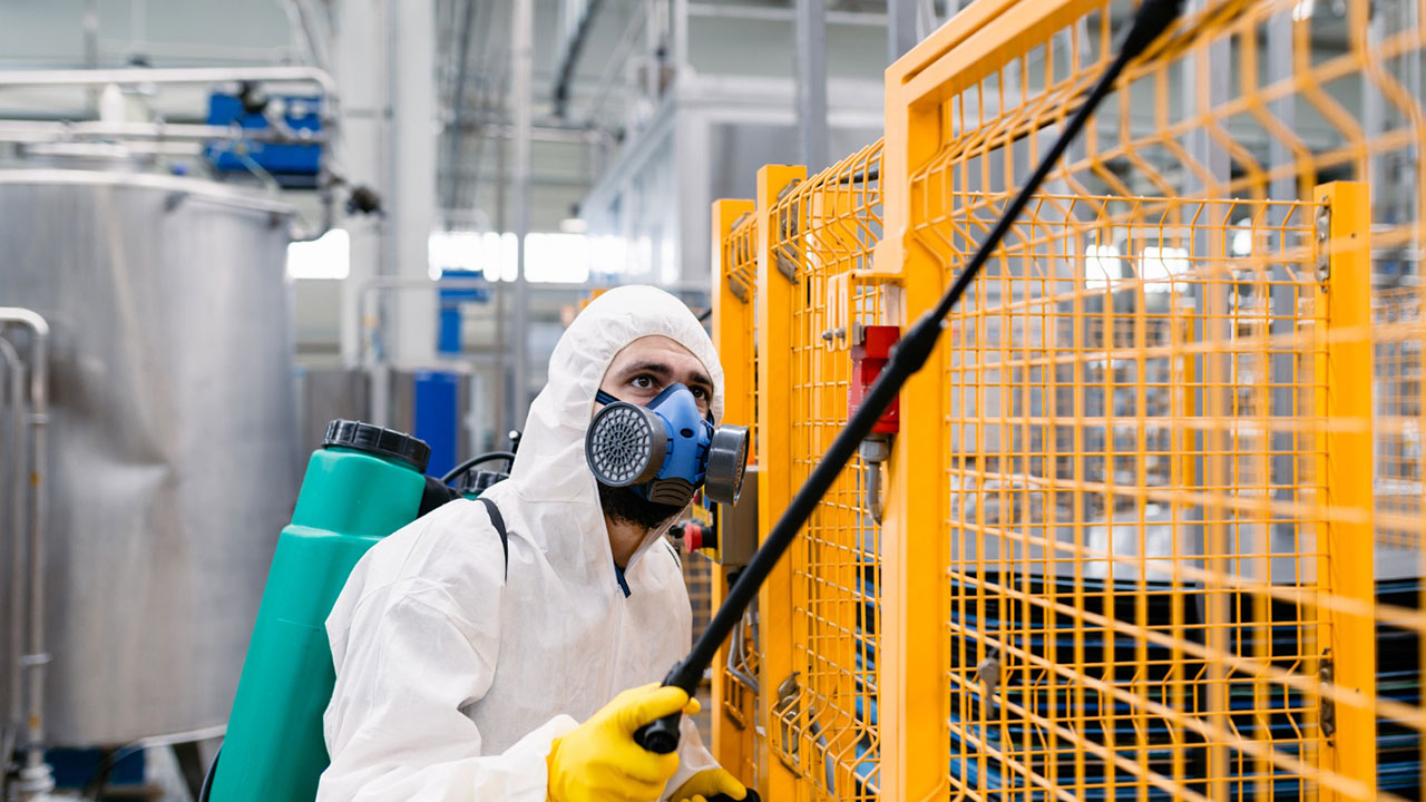 Top-10-tips-to-prevent-pest-infestation